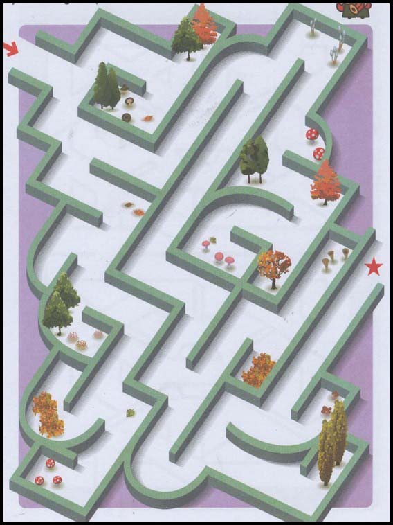 Mazes 81