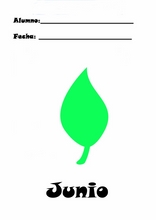 儿童西班牙语月份学习6