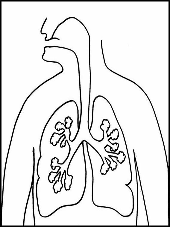 Disegni da colorare del corpo umano 5