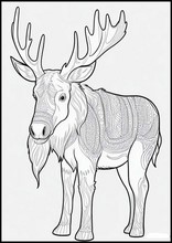Elks - Animals2