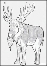 Alci - Animali2