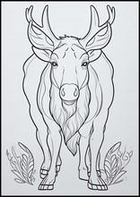 Elks - Animals3