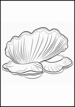 Vongole - Animali1