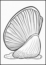 Vongole - Animali3