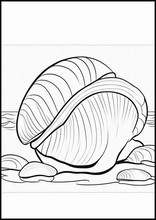Vongole - Animali4