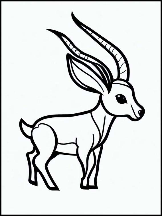 Antilopes - Animaux 1