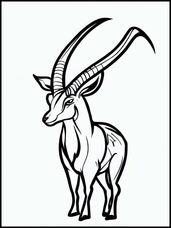 Antilopes - Animaux 2