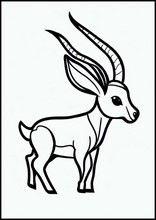 Antiloper - Djur1