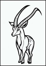 Antilopes - Animaux2
