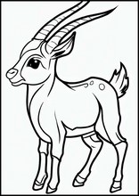 Antilope - Dyr3