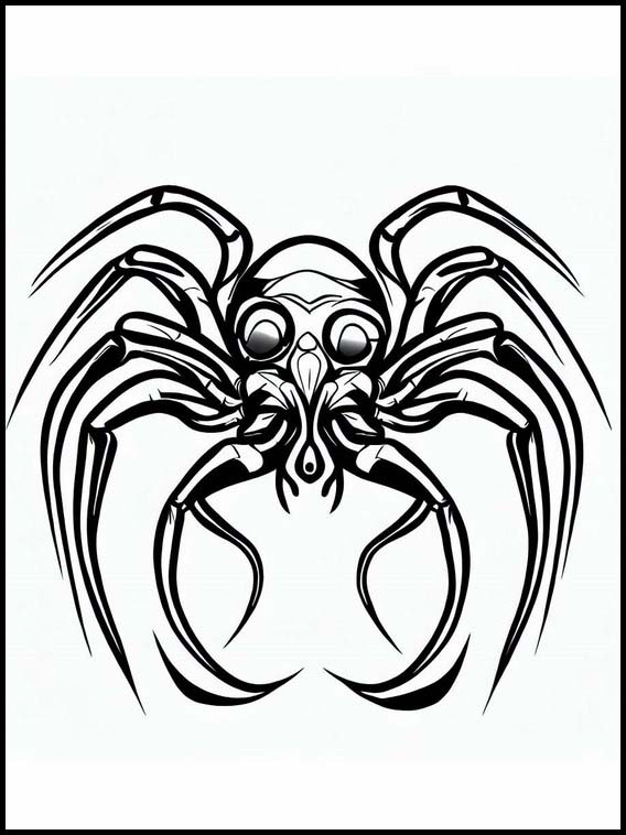 Edderkopper - Dyr 1