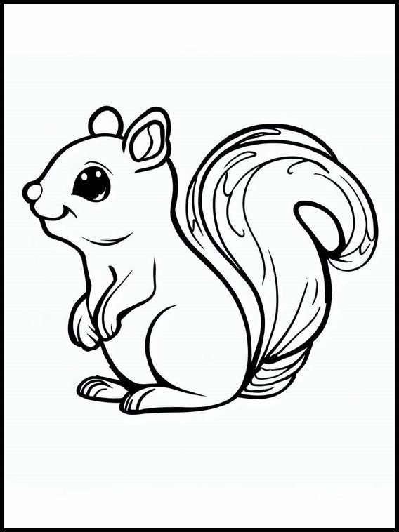 Écureuils - Animaux 4