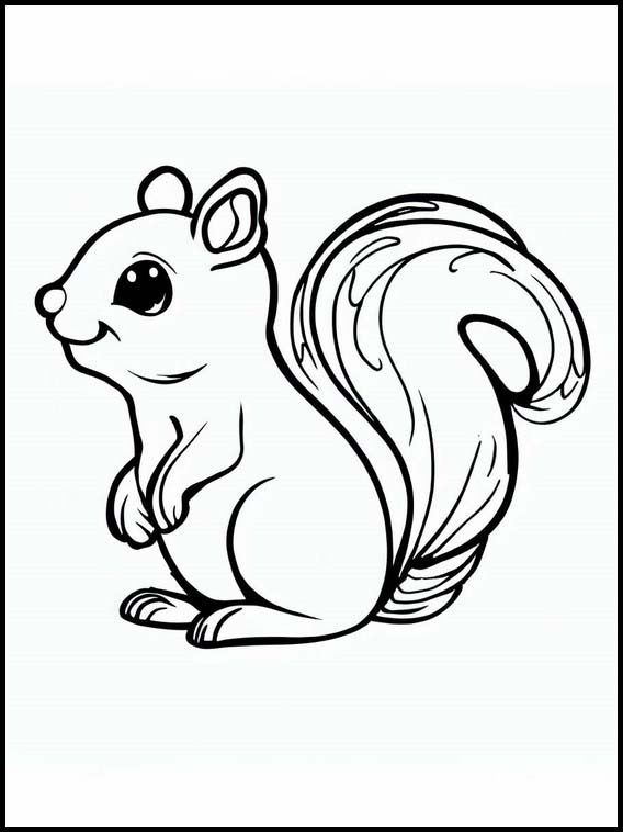 Squirrels - Animals 4