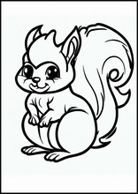 Eichhörnchen - Tiere1