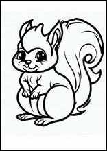 Scoiattoli - Animali1