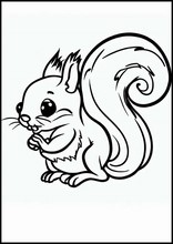 Écureuils - Animaux3