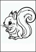 Squirrels - Animals3