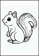 Écureuils - Animaux4