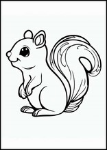 Scoiattoli - Animali4