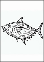 鮪魚4