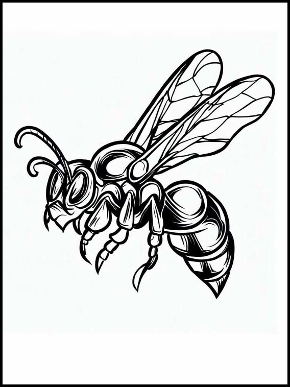 Wespen - Tiere 7