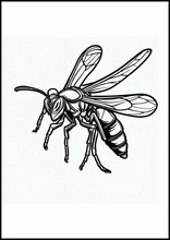 Wasps - Animals4