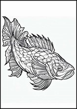 Codfish - Animals5