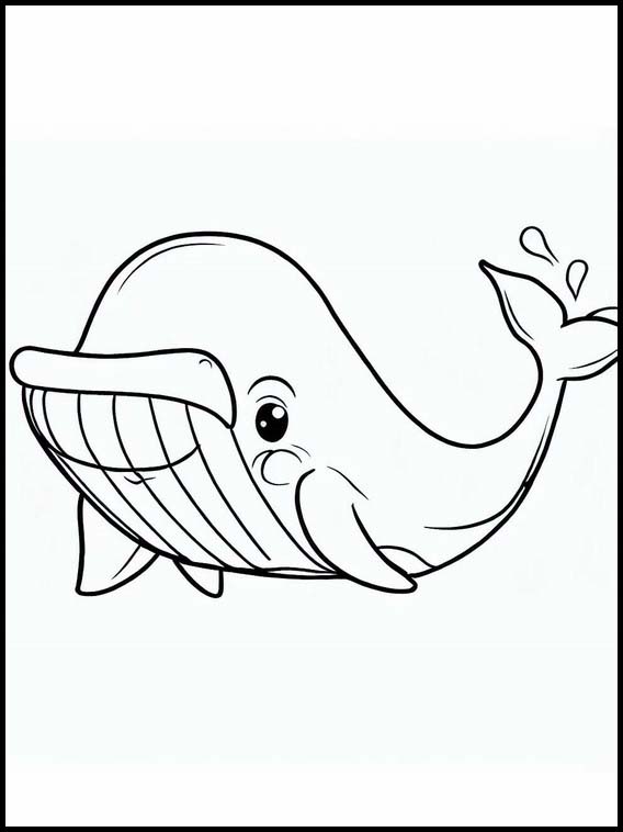 Walvissen - Dieren 2