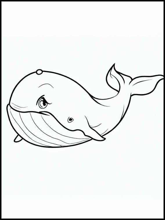 クジラ - 動物 3