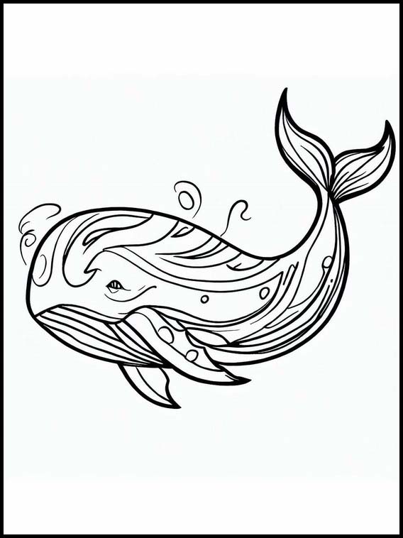 Walvissen - Dieren 5