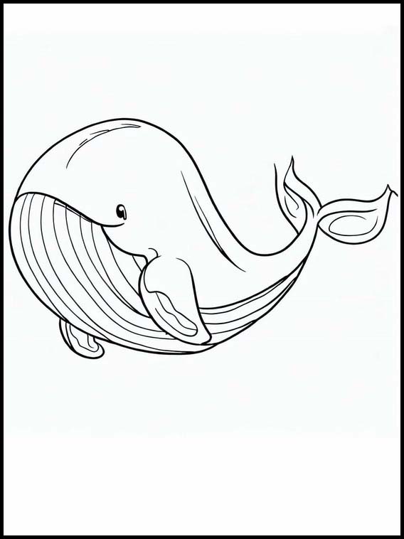 クジラ - 動物 6