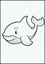 Walvissen - Dieren1