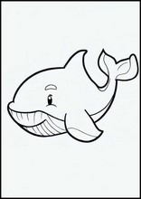 鯨魚1