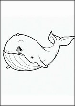 Walvissen - Dieren3