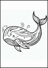 鯨魚5