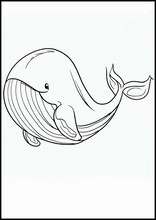 鯨魚6