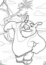 Blinky Bill. Billy il koala17