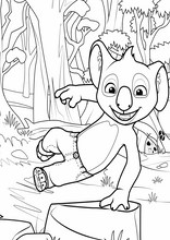 Blinky Bill23