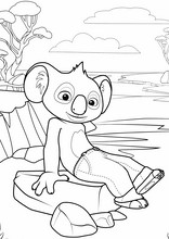 Blinky Bill. Billy il koala24