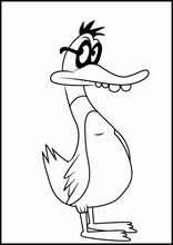 Brandy a pan Whiskers6