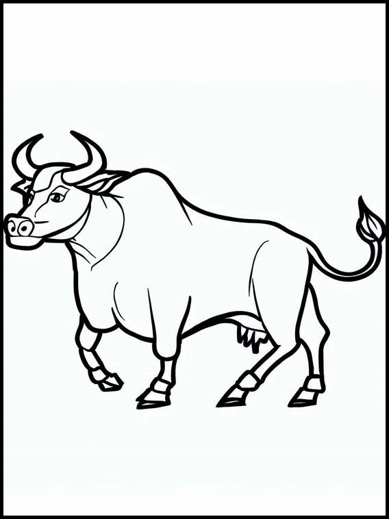 Oxen - Animals 5