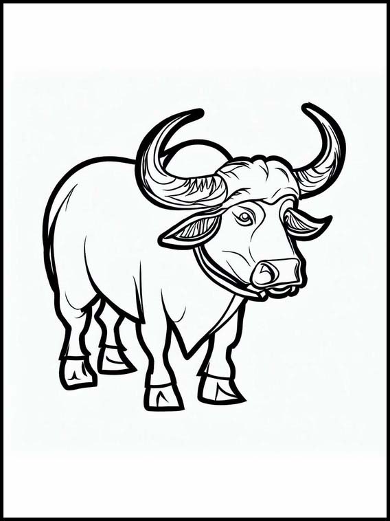 Bufalos - Animales 2