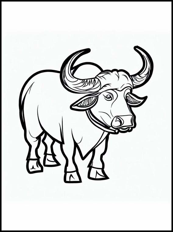 Buffaloes - Animals 2