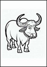 Buffaloes - Animals2