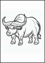Bufalos - Animales3