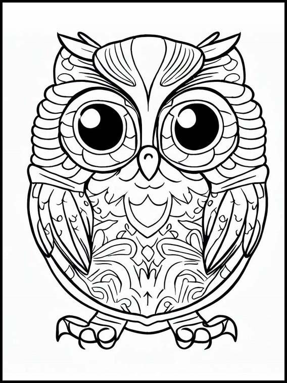 Owls - Animals 6
