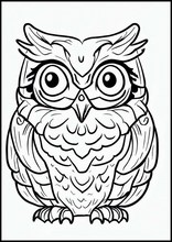 Owls - Animals1