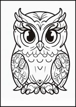 Owls - Animals2
