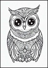 Owls - Animals3