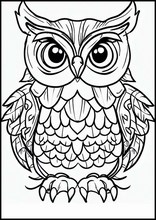 Owls - Animals4